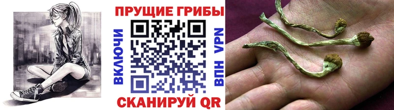 Галлюциногенные грибы мухоморы Бузулук